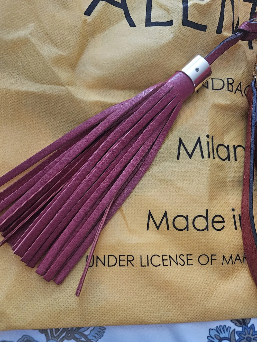 Mario Valentino Mia Camera Bag Crossbody with Tassel Red